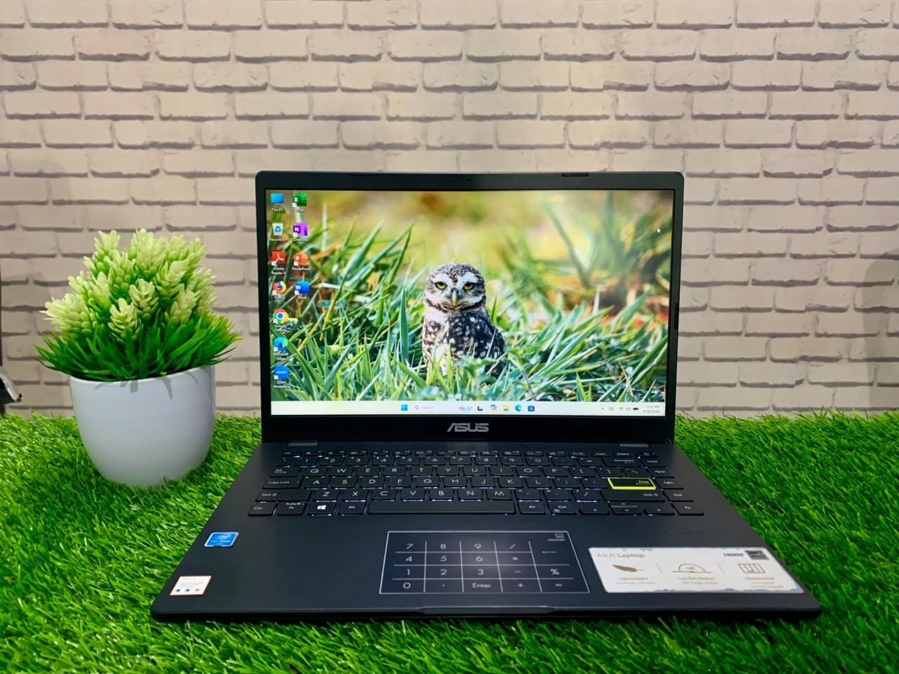 ASUS E410MA Intel Celeron N4020 / Ram 4GB / SSD 256GB / Intel UHD Graphics / 14" HD/ Murah