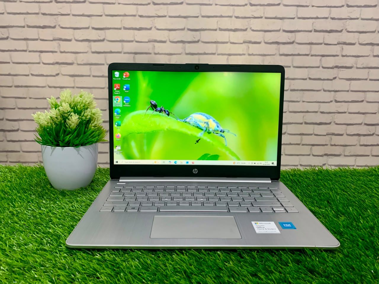 HP 14S - DQ2518TU Intel Celeron 6305 / Ram 4GB / SSD 512GB / Intel UHD Graphics / 14" HD/ Murah
