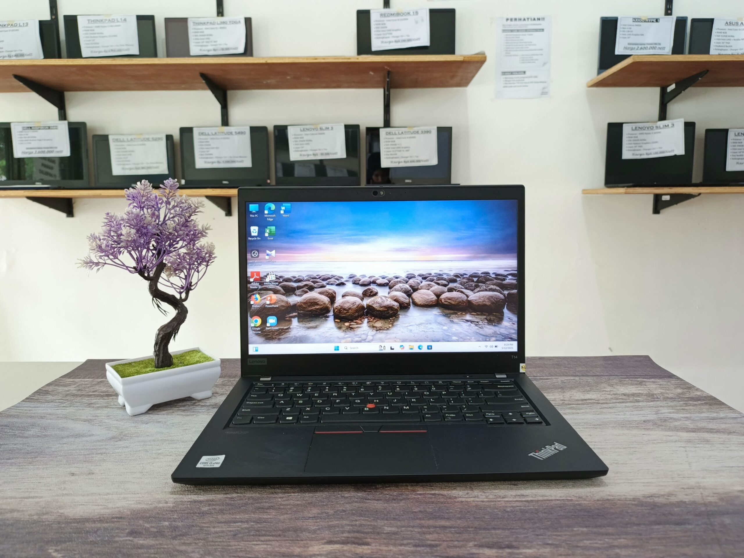 LAPTOP THINKPAD T14 I INTEL CORE i5-10310U ( RAM 16GB / SSD 256GB NVMe )
